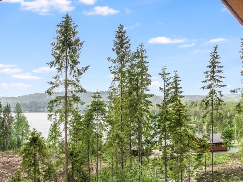 Vuokramökit Lieksa: Upeat Ja Edulliset Mökit